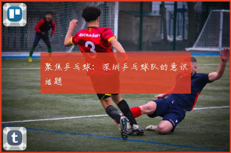 聚焦乒乓球：深圳乒乓球队的意识话题