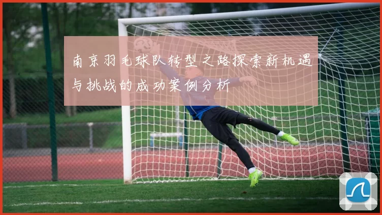南京羽毛球队转型之路探索新机遇与挑战的成功案例分析