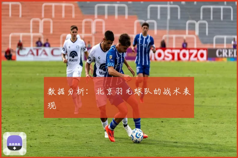 数据分析：北京羽毛球队的战术表现