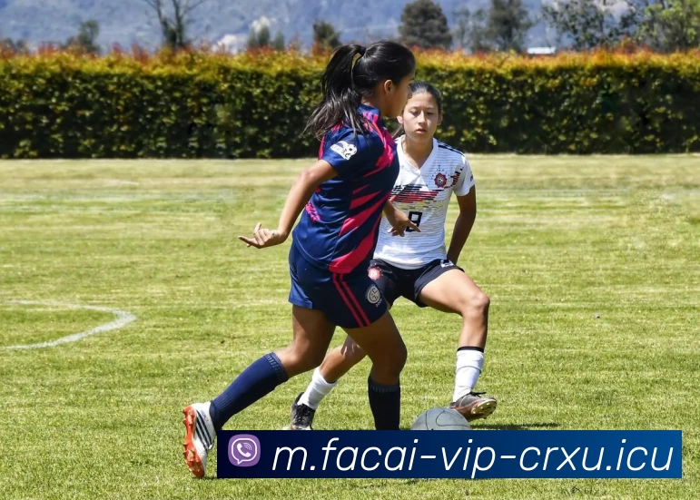 华体会体育APP 高清赛事图